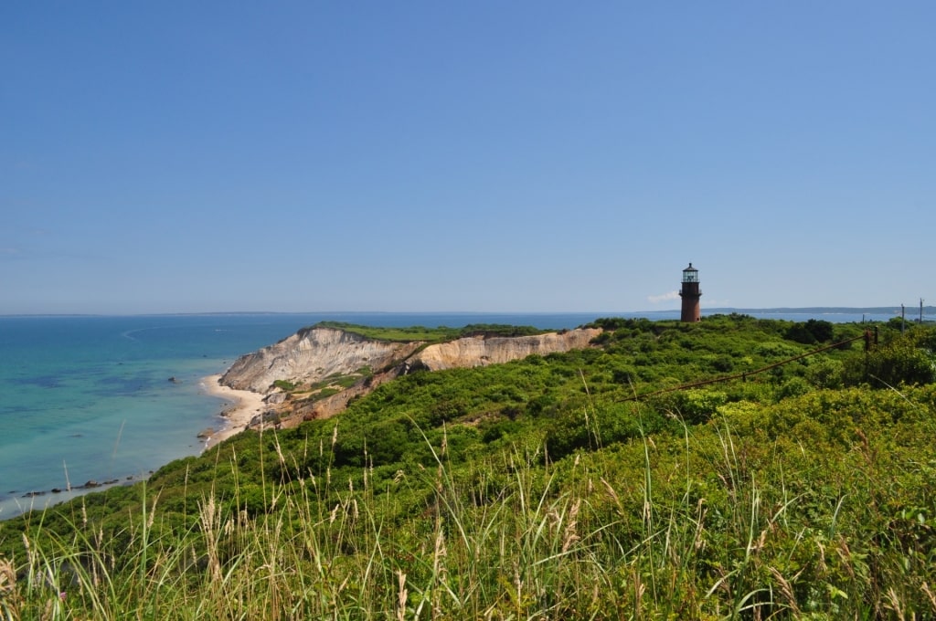 Lush landscape of Aquinnah Cliffs Overlook