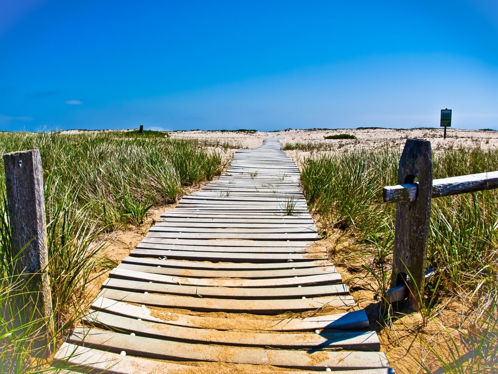 Wooden pathway in Cape Poge Wildlife Refuge