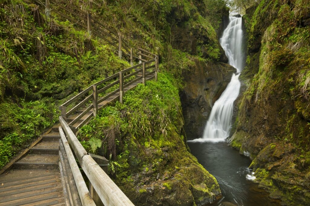 View from Glenariff Forest Park with waterfall