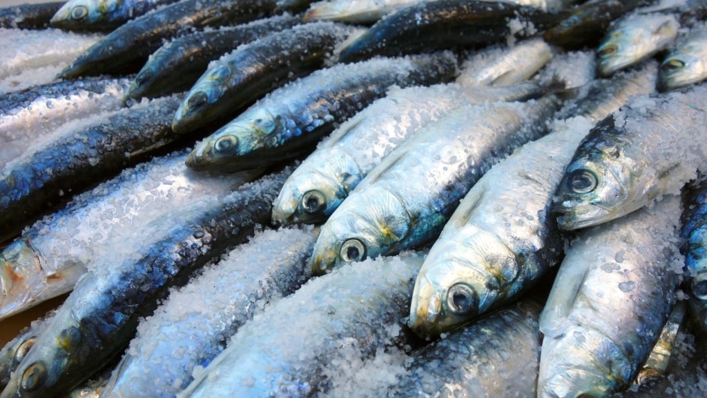 Sardinhas at a market in Lisbon