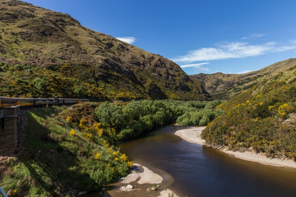 View of Taieri Gorge with train