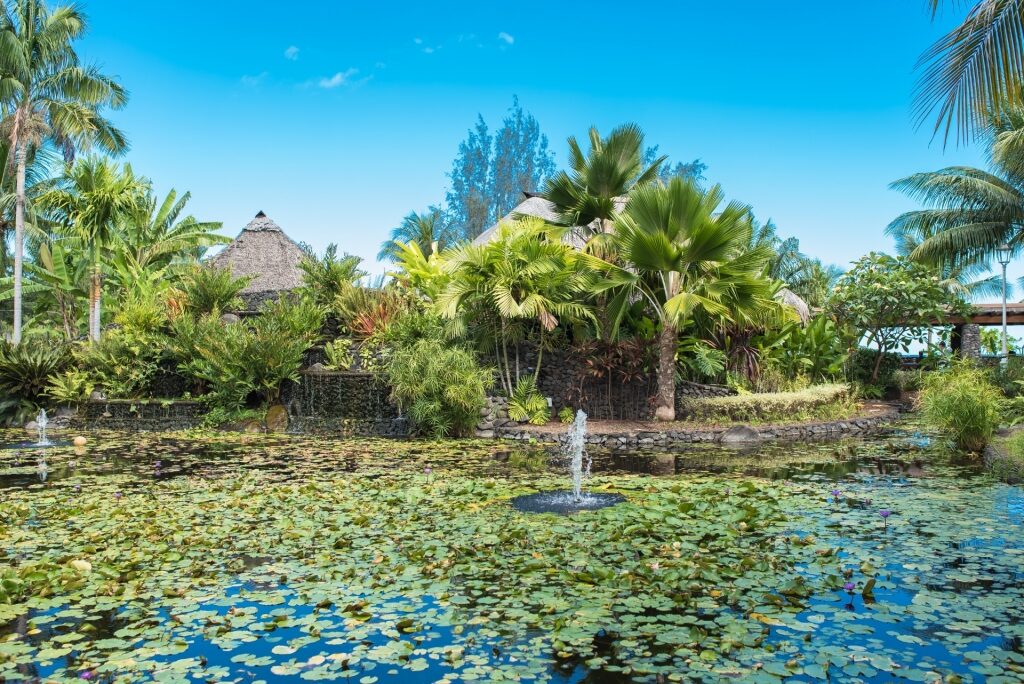 Lush landscape of Pā'ōfa'i Gardens in Tahiti, French Polynesia