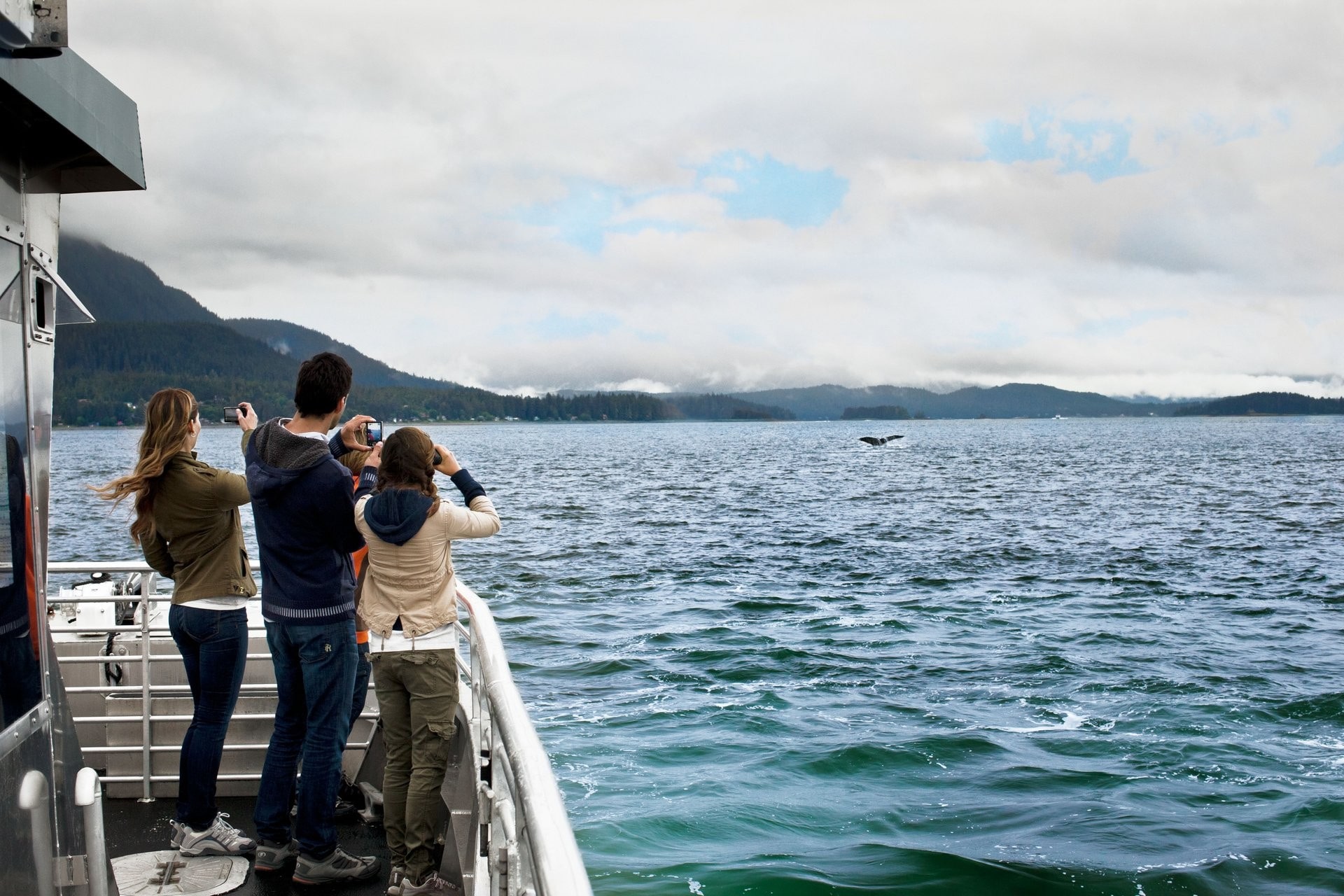 12 Best Places to Go Whale Watching in the World | Celebrity Cruises