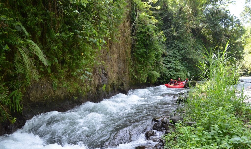 People rafting in Ayung River, Bali