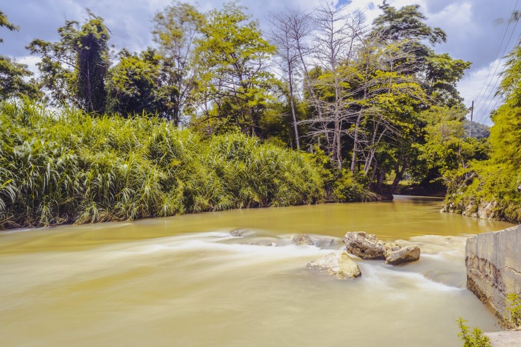 River of Rio Bueno, Jamaica