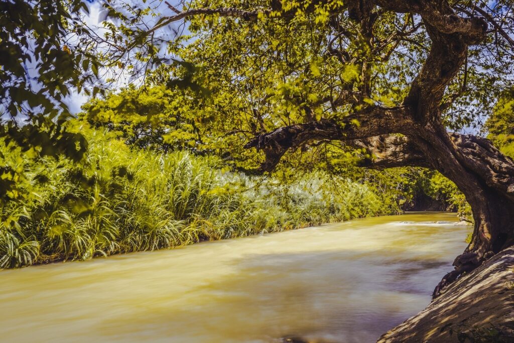 Current of Rio Bueno, Jamaica