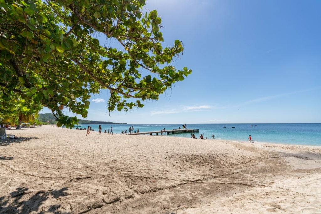 Fine sands of Grand Anse Beach, Grenada