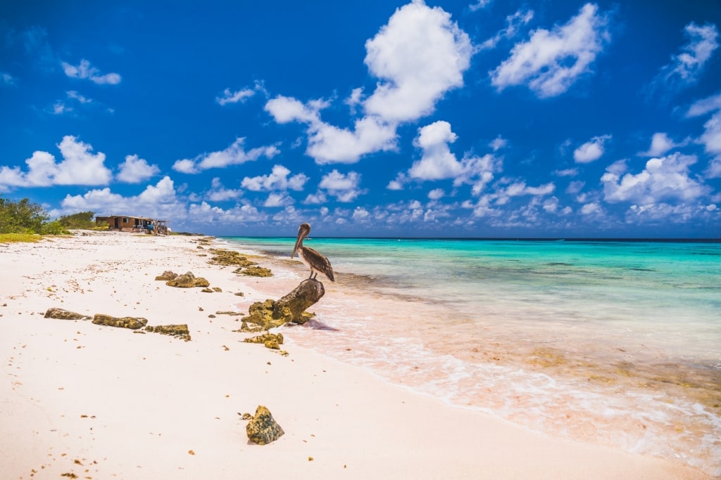 White sands of Atlantis Beach