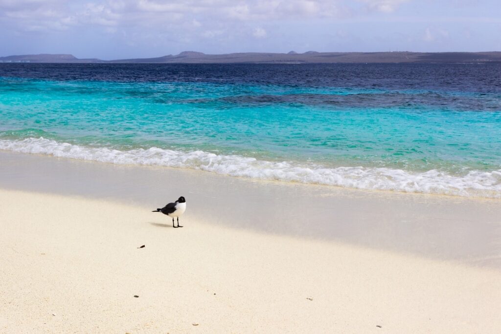 Sandy beach of No Name Beach, Klein Bonaire