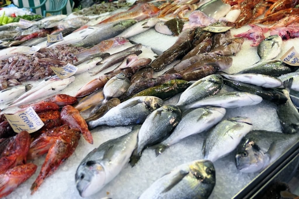 Fresh seafood at the Corfu Central Market