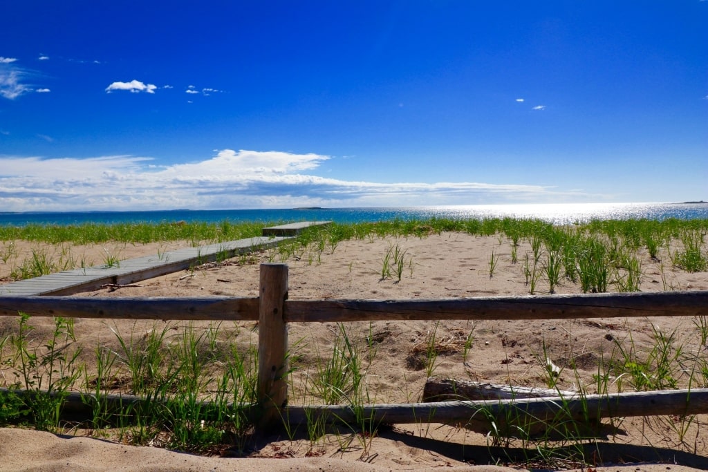 Pathway in Ferry Beach State Park