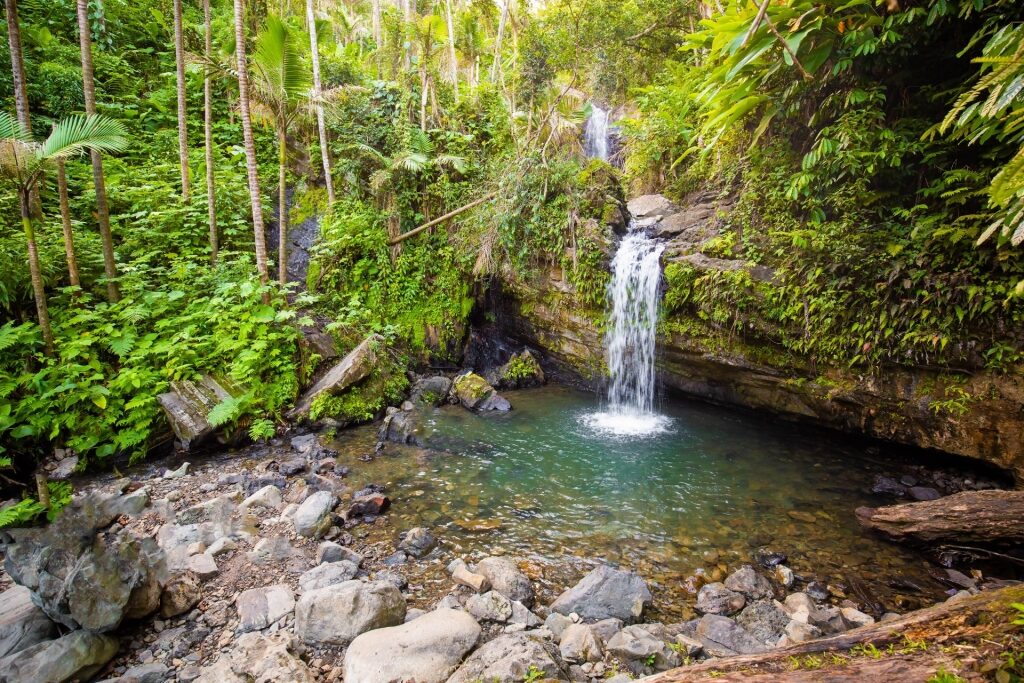 Pebbly pool of Juan Diego Falls, El Yunque Rainforest