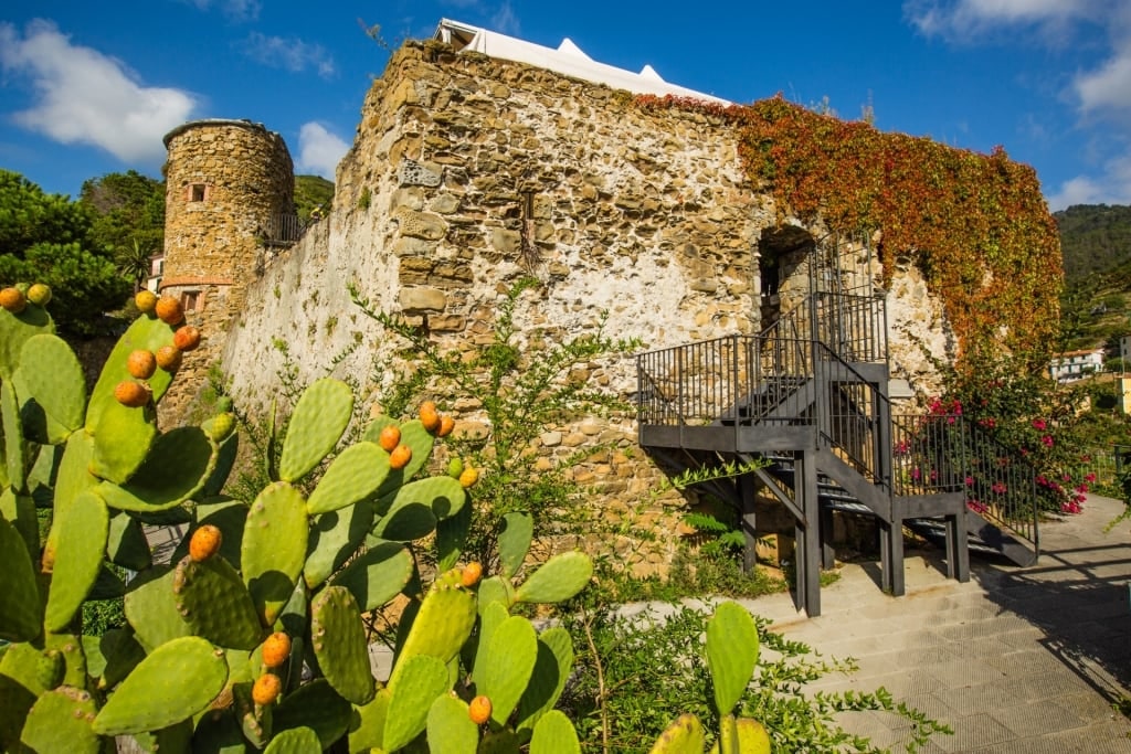 Historic site of Riomaggiore Castle