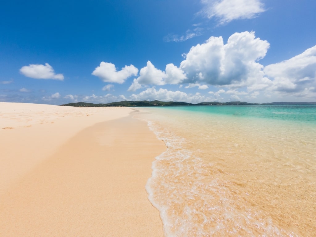 Sandy beach of Buck Island