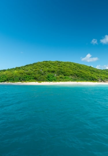 Buck Island, one of the best St Croix beaches