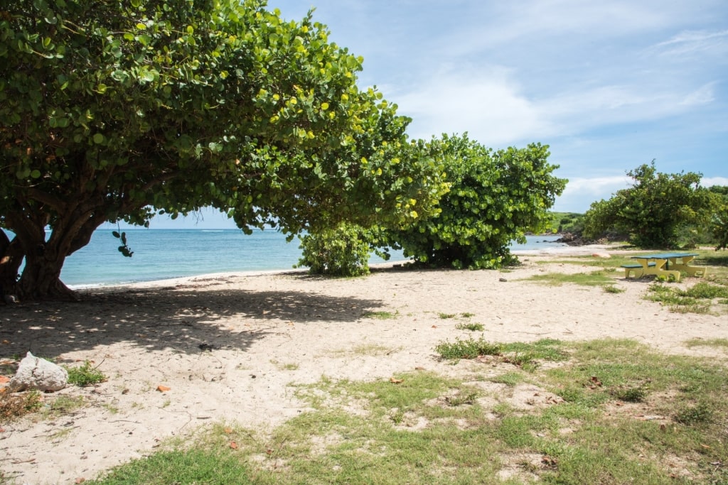 Sandy Cramer Park Beach