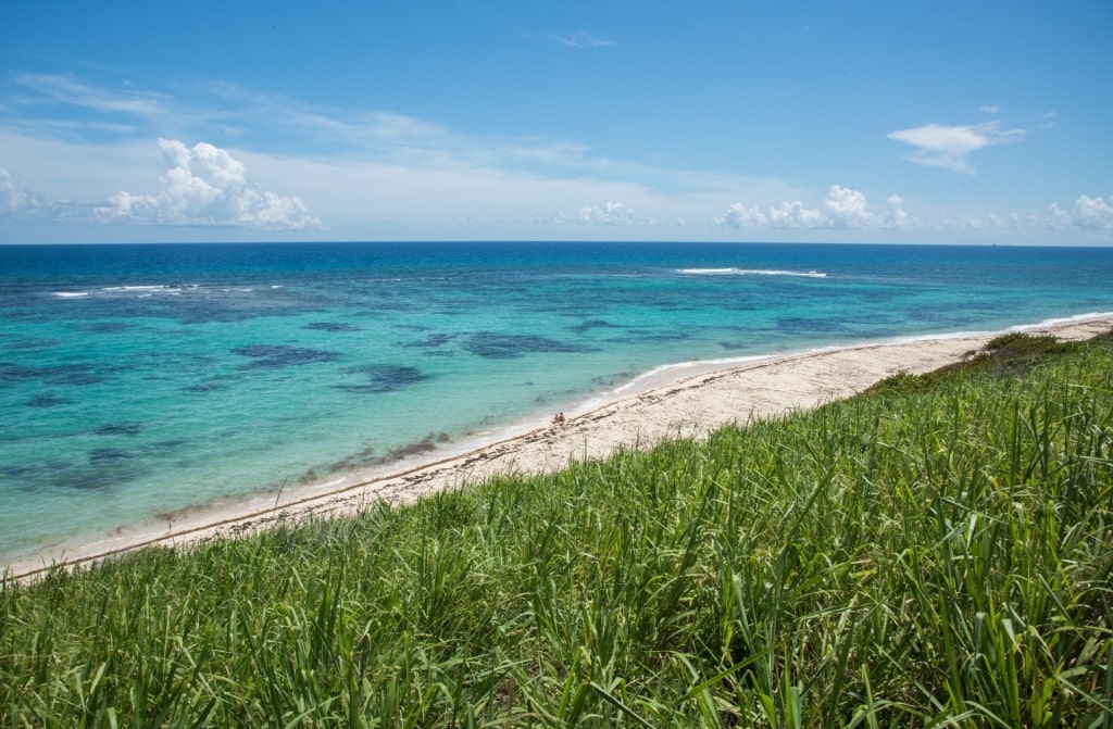 Lush landscape of Jack's Bay/Isaac’s Bay