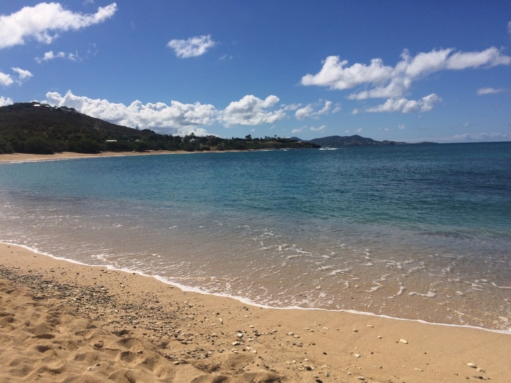 Brown sands of Shoys Beach