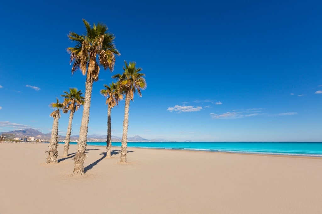 Sandy beach of Playa de San Juan