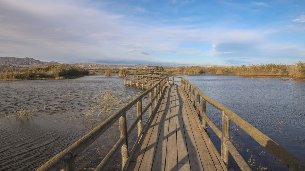 El Fondo Nature Reserve, one of the best things to do in Alicante