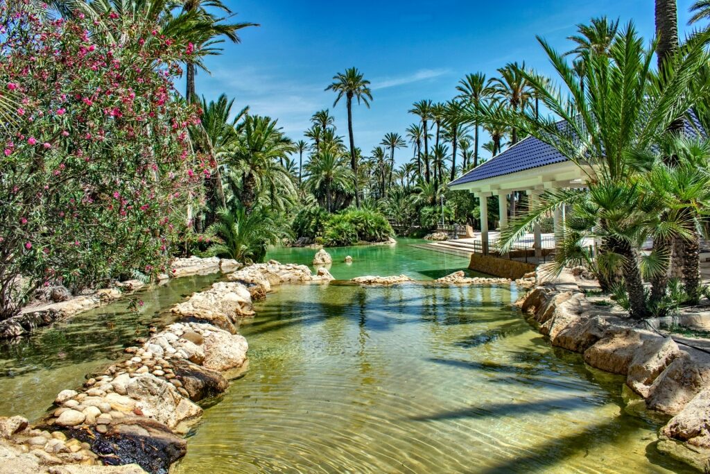 Parque El Palmeral, one of the best things to do in Alicante