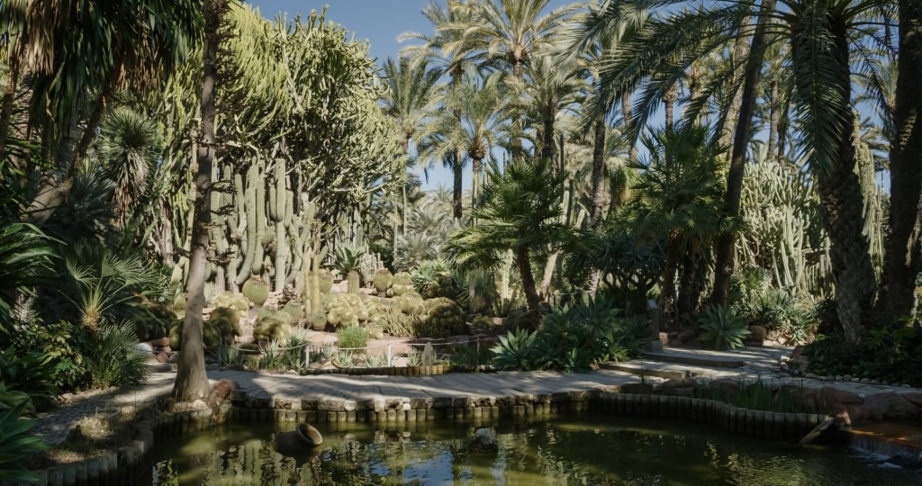 Lush landscape of Elche