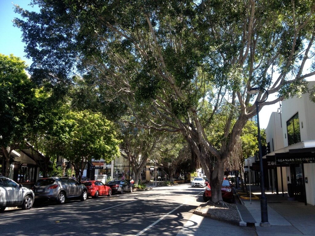 Popular James Street in Brisbane