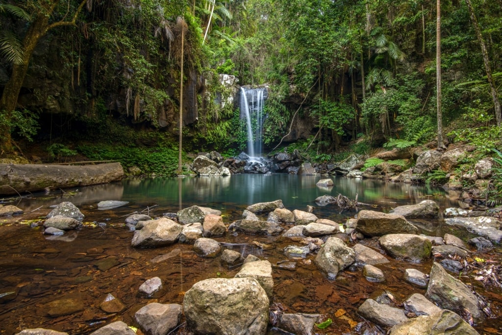 Hidden gem of Curtis Falls