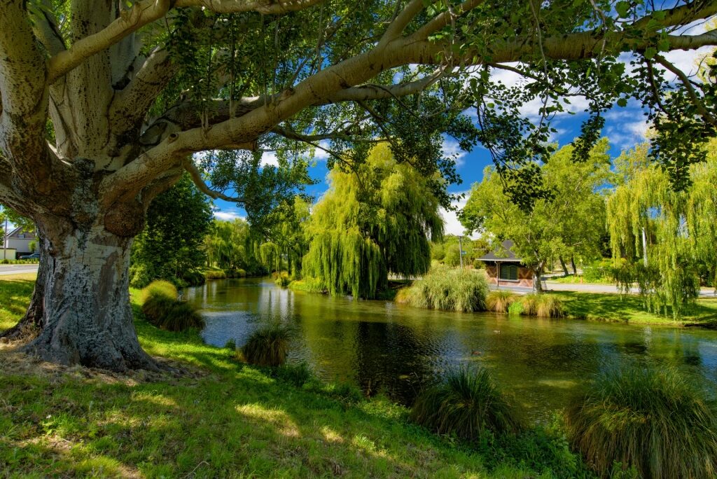 Lush landscape of Avon River