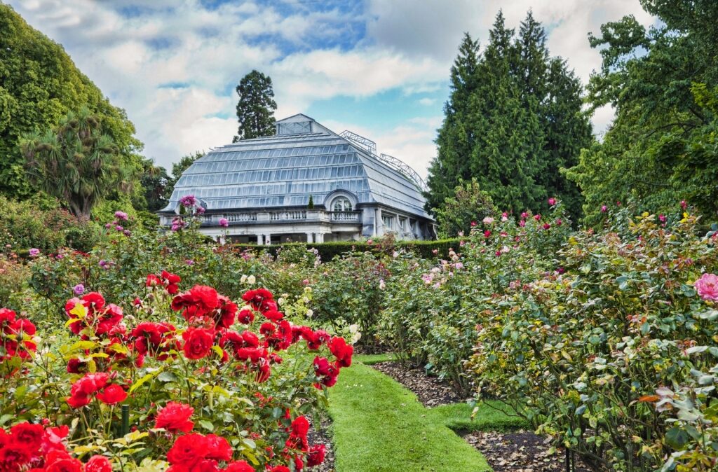Lush landscape of Christchurch Botanic Gardens