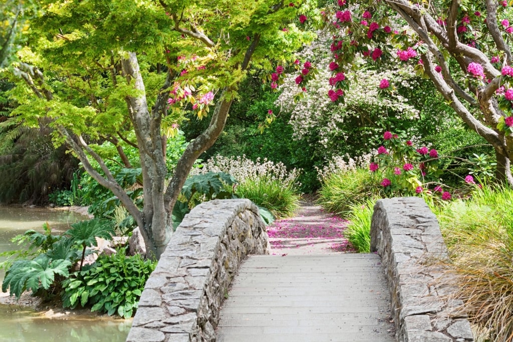 Lush landscape of Christchurch Botanic Gardens