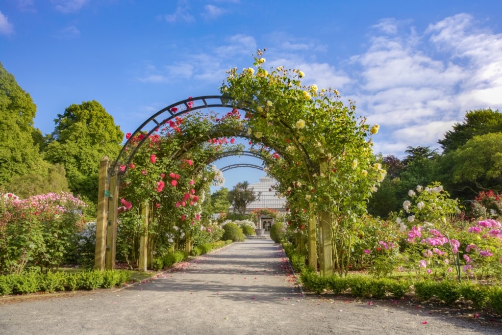 Beautiful landscape of Hagley Park