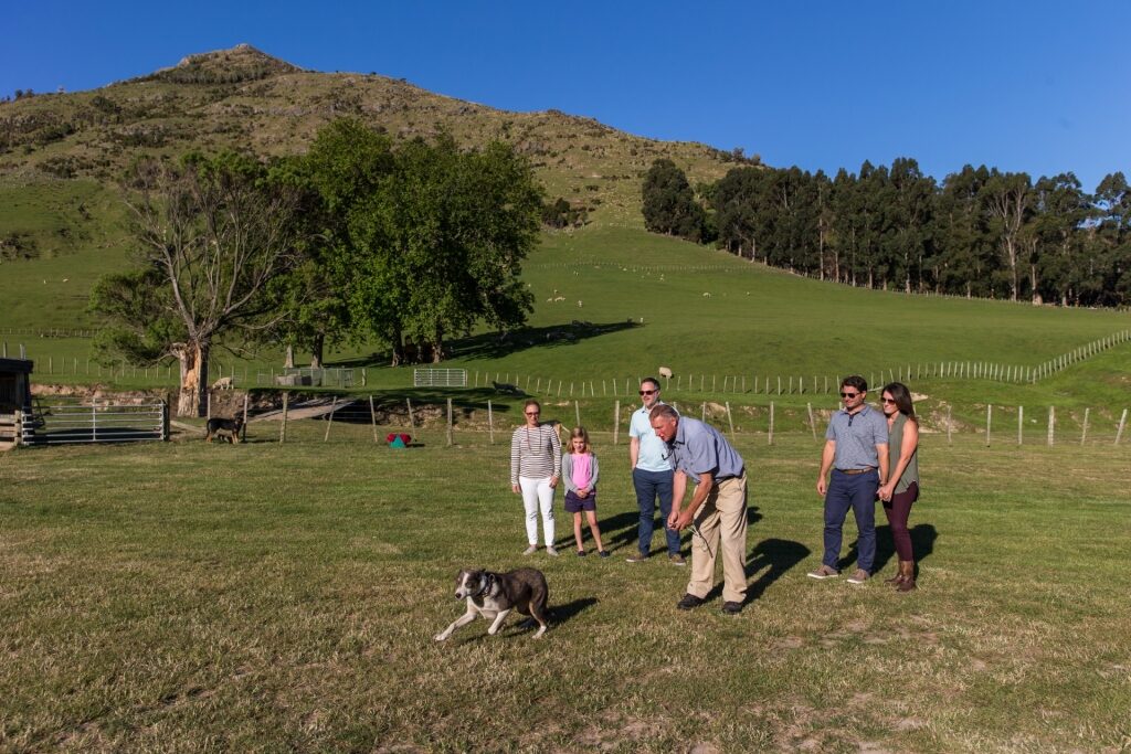 People hanging out at the lush Manderley Family Farm, Christchurch