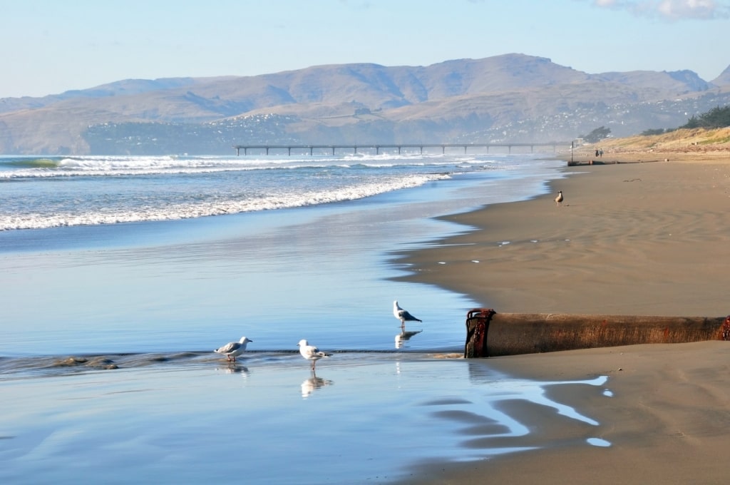 Quiet beach of New Brighton Beach