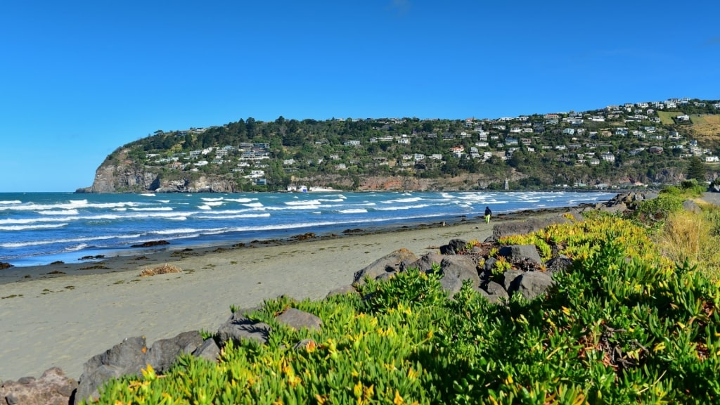 Beautiful landscape of Sumner Beach