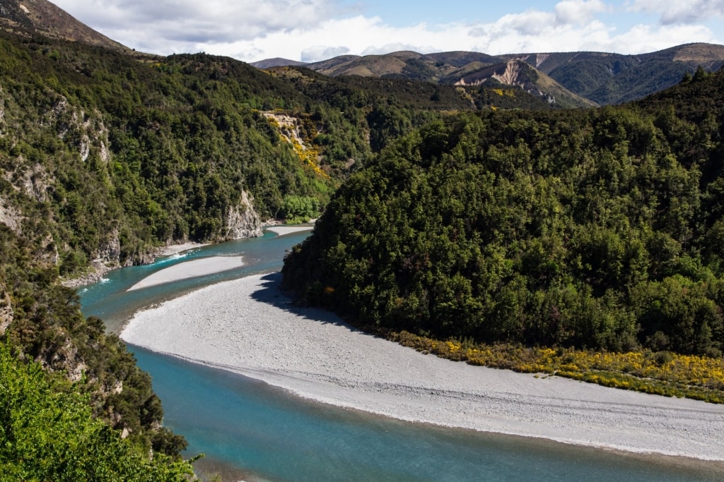 View on the TranzAlpine Express