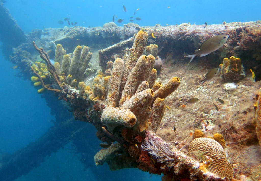 View of the Antilla Shipwreck