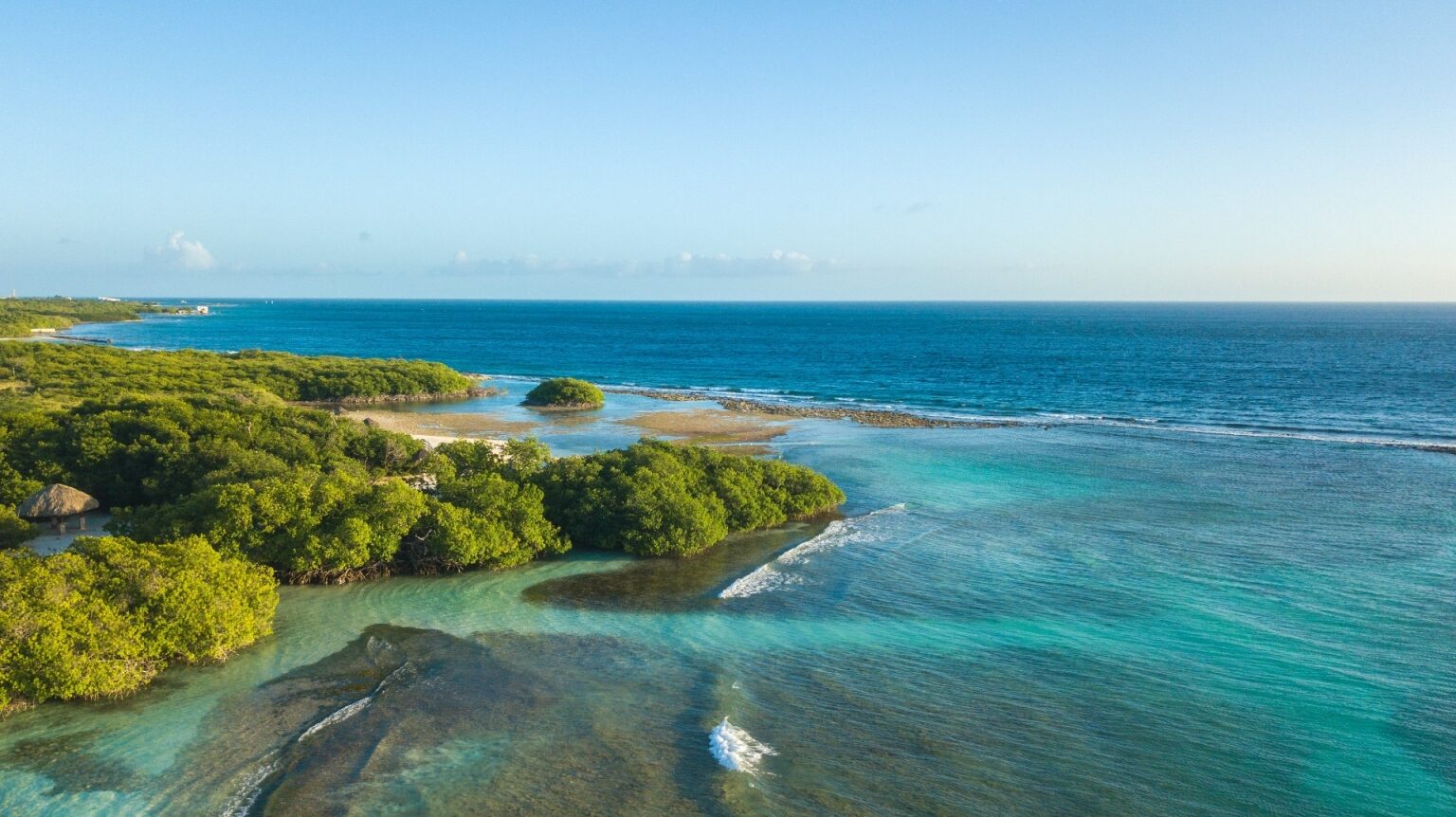 14 Best Scuba Diving Spots in Aruba Celebrity Cruises