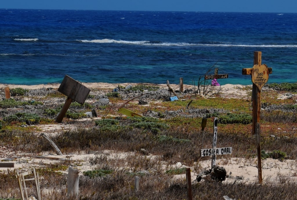 Shoreline of the Pet Cemetery