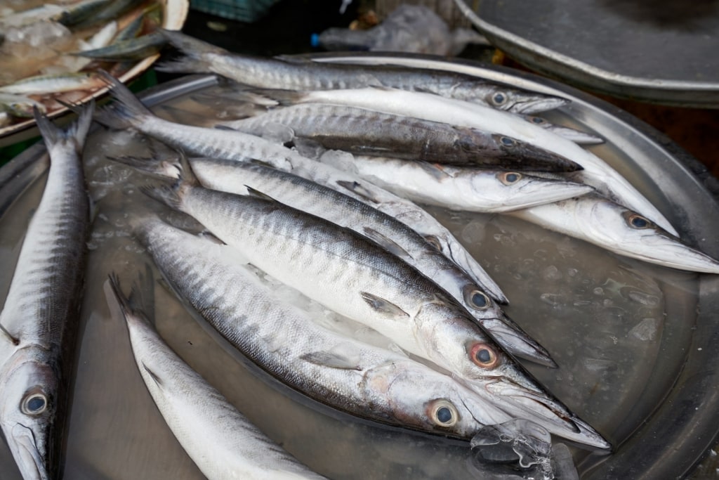 Fresh fish wahoo