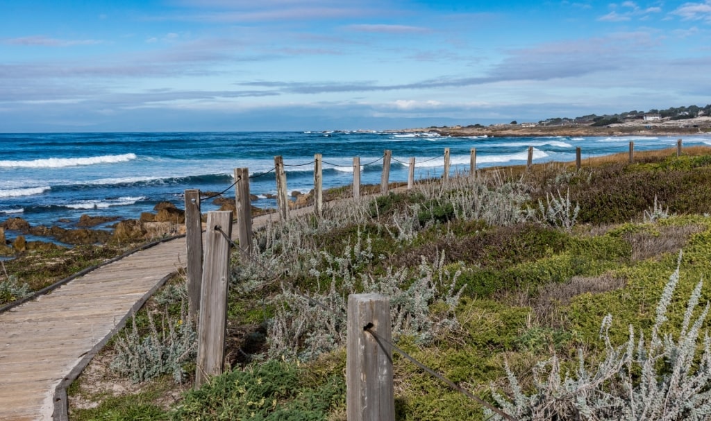 Boardwalk leading to Asilomar State Beach