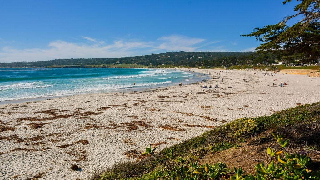 Carmel Beach, one of the best beaches in Monterey