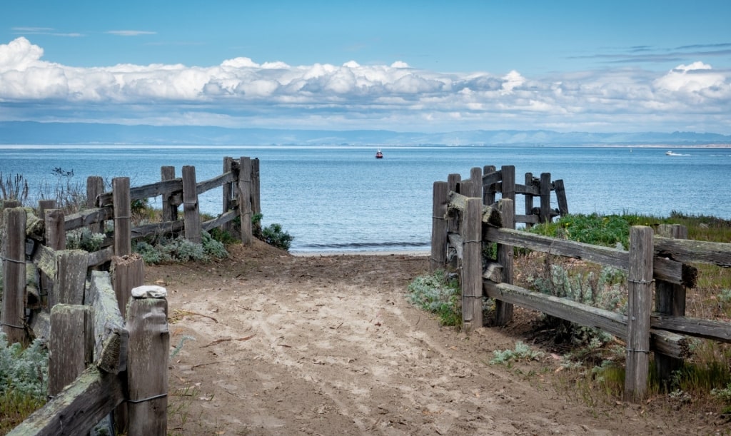 Pathway leading to Del Monte Beach