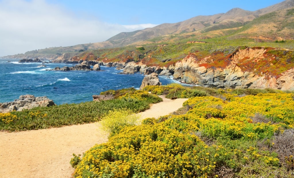 Trail in Garrapata State Park Beach