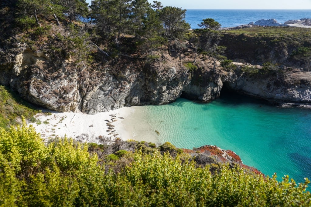 Bird Island Trail, near Gibson’s Beach