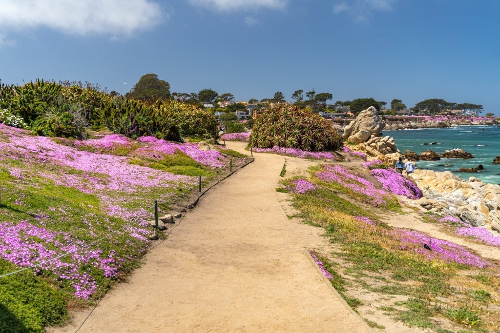 Trail near Lover’s Point Park Beach