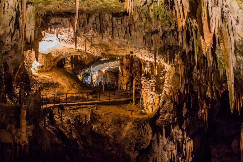 Postojna Cave, one of the best caves in the world