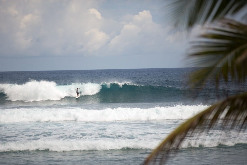 Man surfing in Bathsheba Beach in East Coast, Barbados