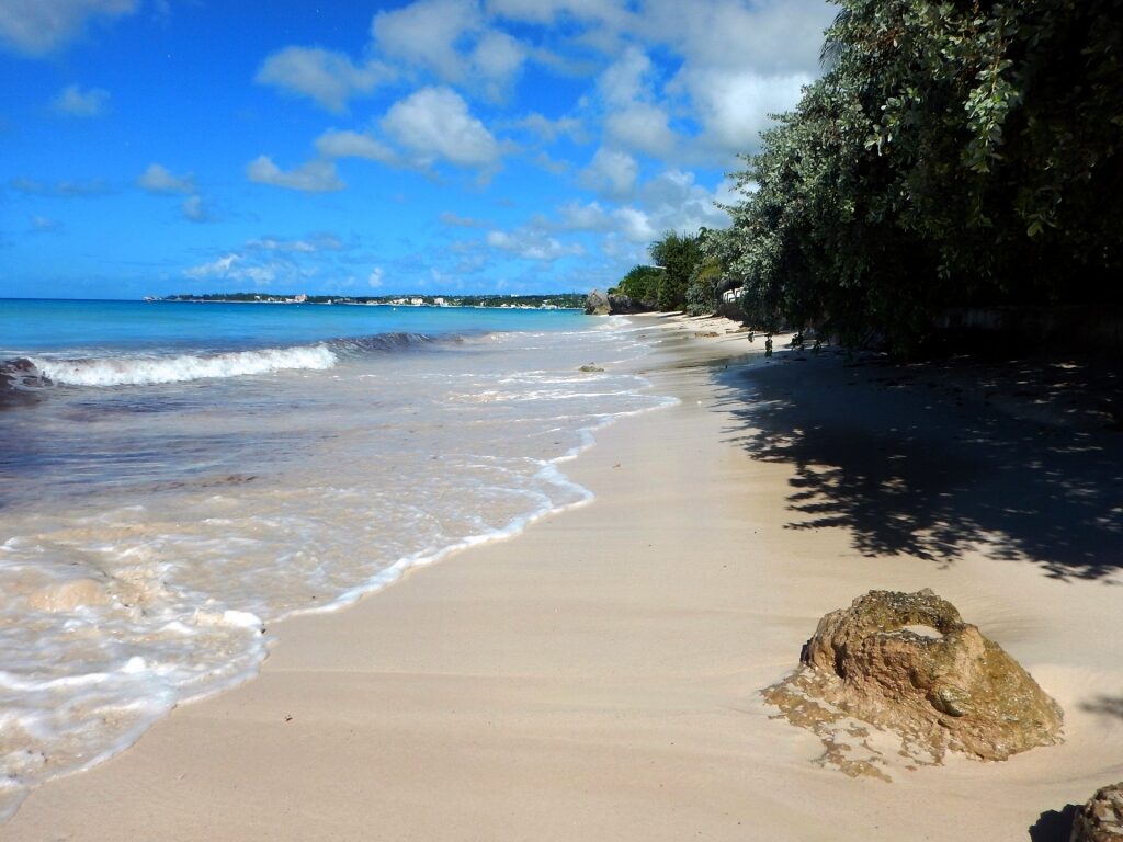 Shoreline of Freights Bay, Barbados