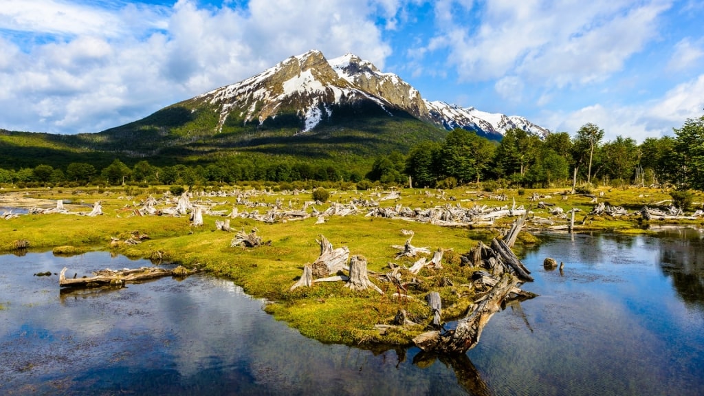 Landscape of Ushuaia